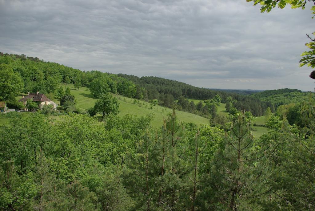 Готель Pechalvet Fleurac  Номер фото